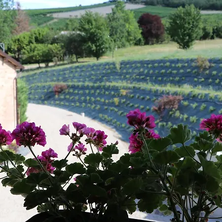 Pensjonat Valet 4*