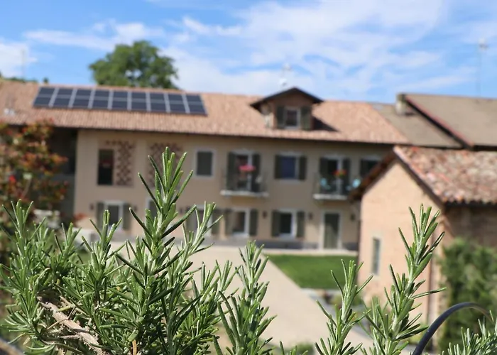 Πανσιόν Valet San Marzano Oliveto