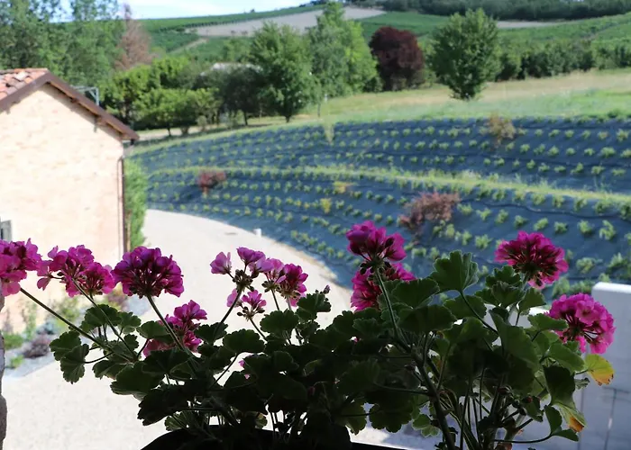 Πανσιόν Valet 4*